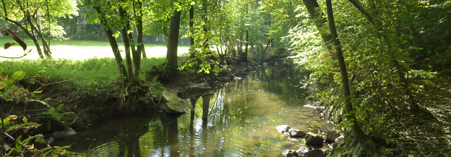 Ferienwohnung Neusalza-Spremberg